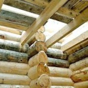 Способы защиты древесины от влаги и гниения
