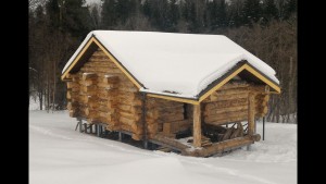 обработка древесины зимой